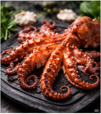 장흥 낙지 희망수산