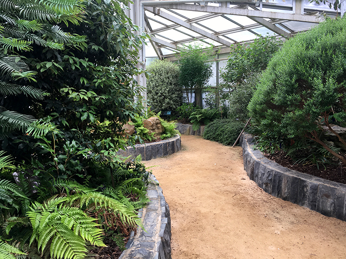 수목원-내-식물원