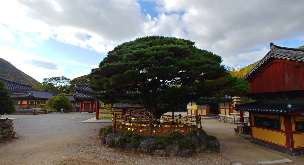 보경사
