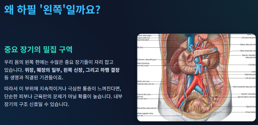 왼쪽 옆구리 통증 의심되는병