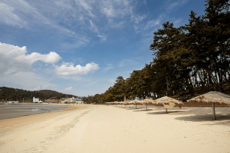 송호해수욕장