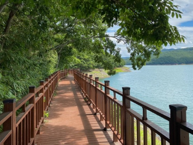 '100억송이' 가을꽃