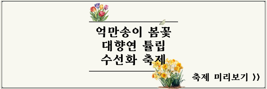 억만송이 봄꽃 대향연 튤립 수선화축제