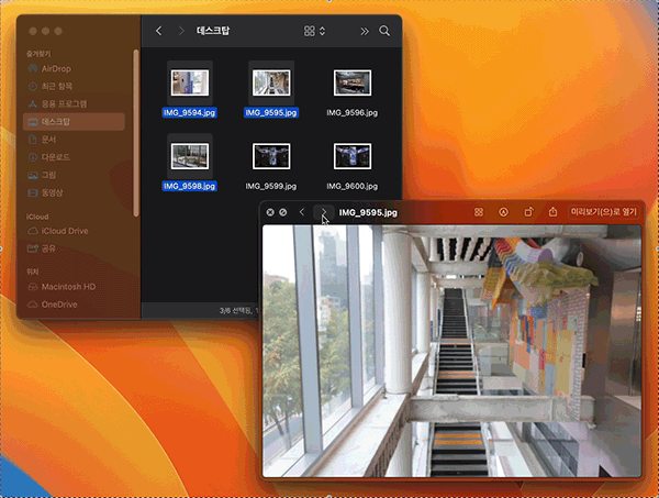 특정 파일들만 선택해 훑어보기 할 수 있다.