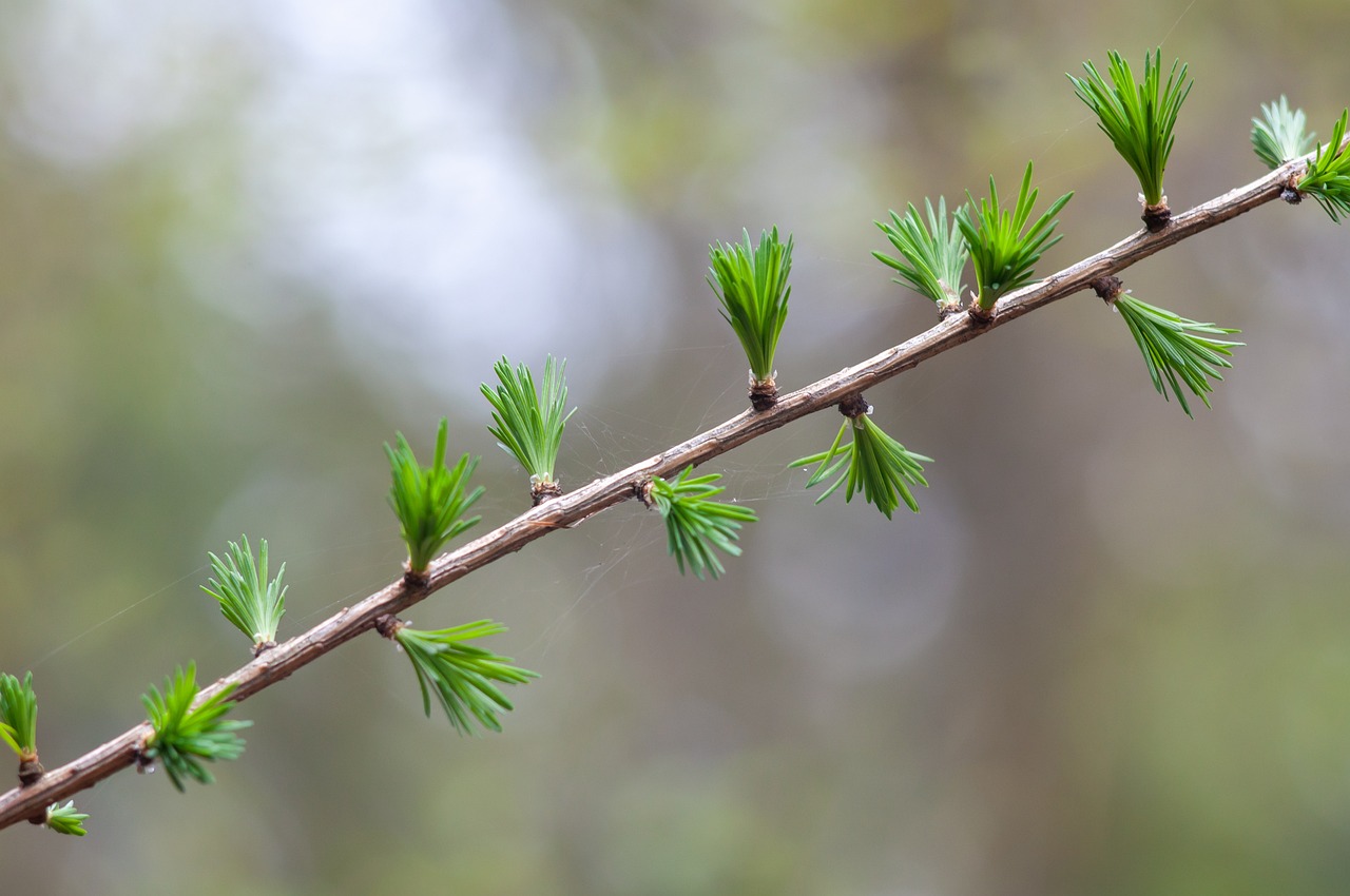 어디든 떠나고 싶은 계절, 4월의 이야기 관련 사진