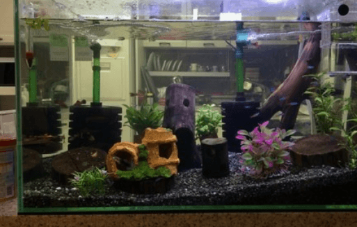 스펀지 여과기&amp;#44; 저면 여과기 차이점