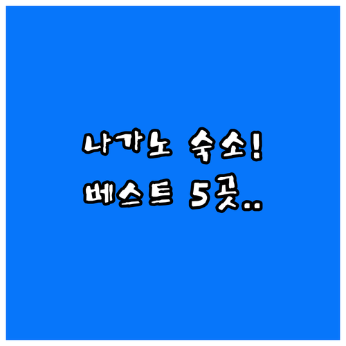 나가노 숙소 베스트 5곳 비교 분석 ..