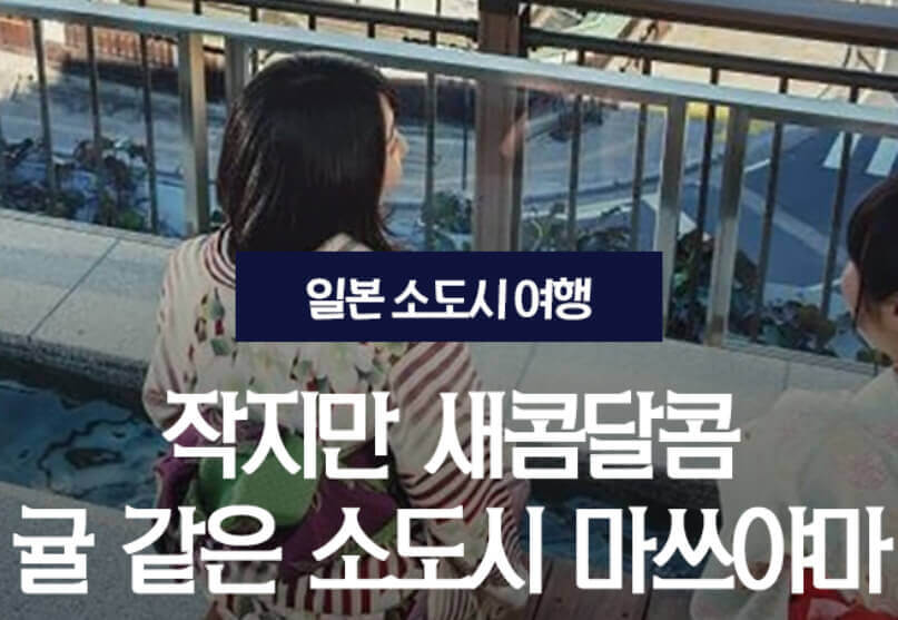 마쓰야마 여행 일본 소도시 출발 전 준비