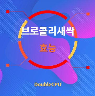 브로콜리새싹 효능 탐구