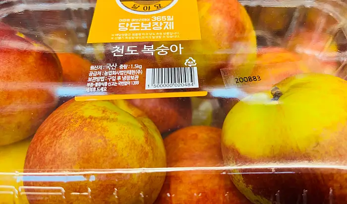 천도