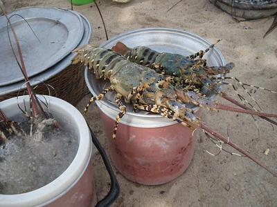 5월-해외여행지-추천-냐짱-나트랑