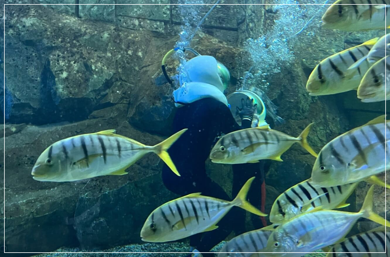 대전 가볼만한곳 베스트10 엑스포아쿠아리움