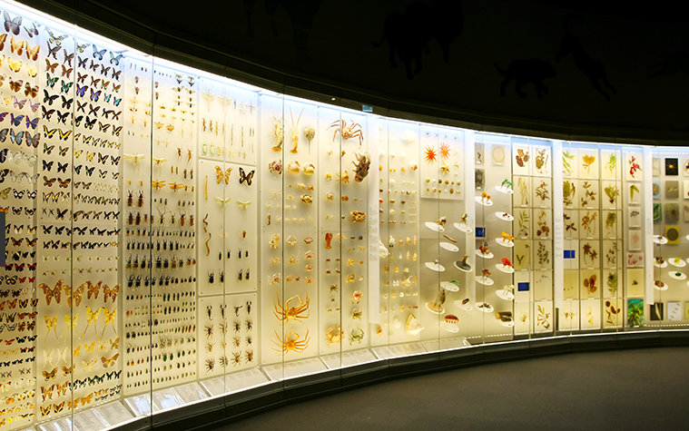 상주곶감축제 근처 가볼만한 곳