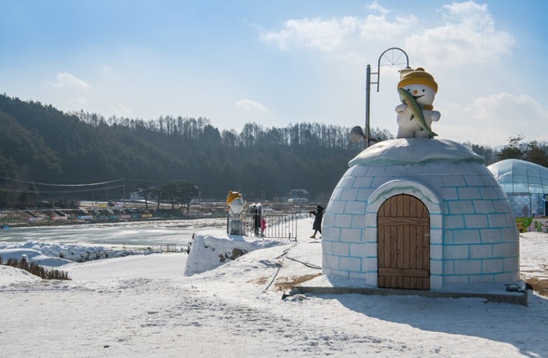 2025 평창 송어 축제