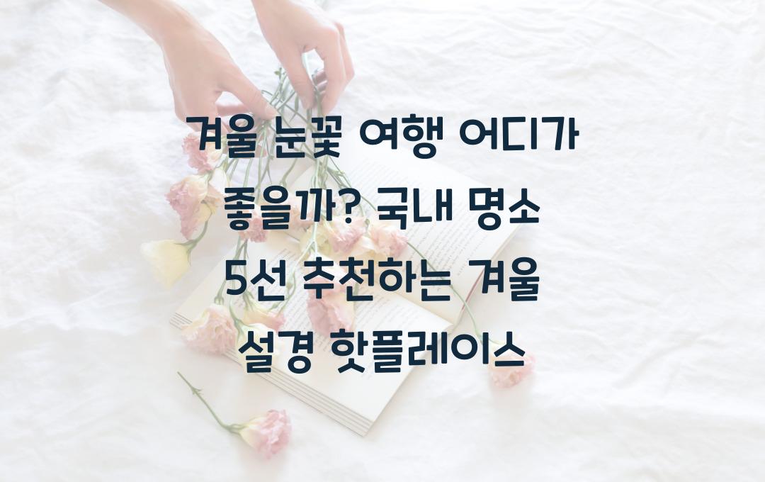 겨울 눈꽃 여행 어디가 좋을까? 국내 명소 5선