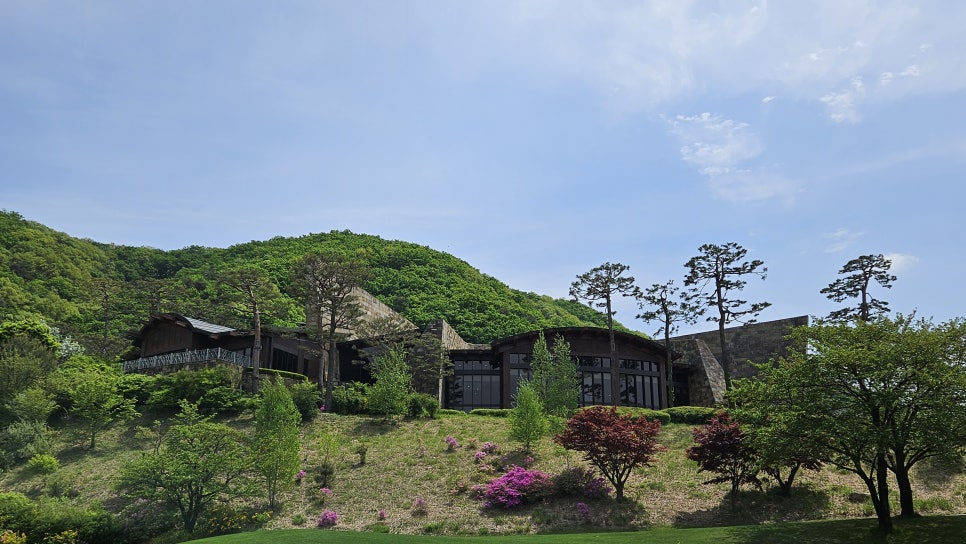 골프장 경험담 음성 레인보우힐스cc 자연미와 챌린지가 공존하는 명품 골프 코스