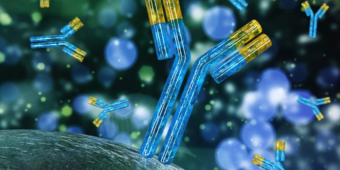 카나리아바이오 기업정보 차트 전망