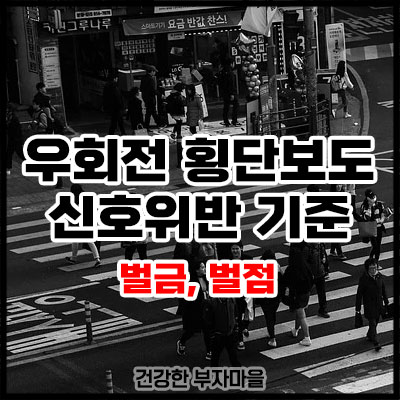 우회전 횡단보도 신호위반 기준