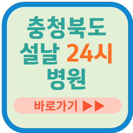 충청북도 설날 24시 병원