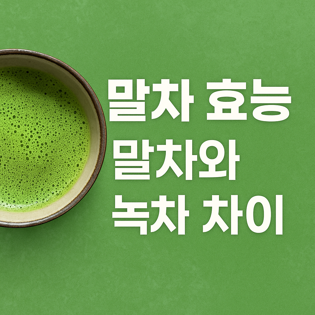 말차효능 말차 녹차 차이