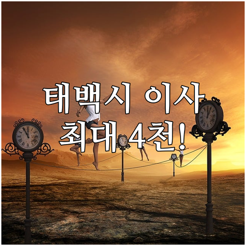 2025 태백시 전입 장려금: 자격 ..