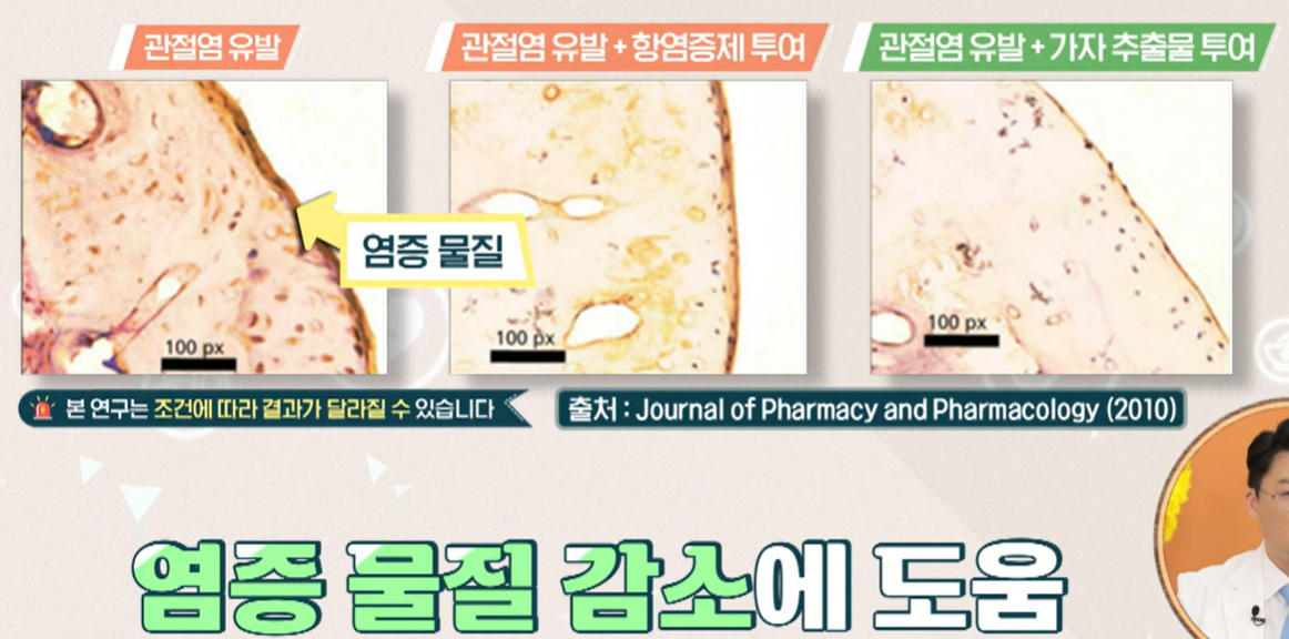 가자추출물 효능