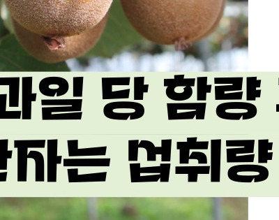 키위 효능 부작용