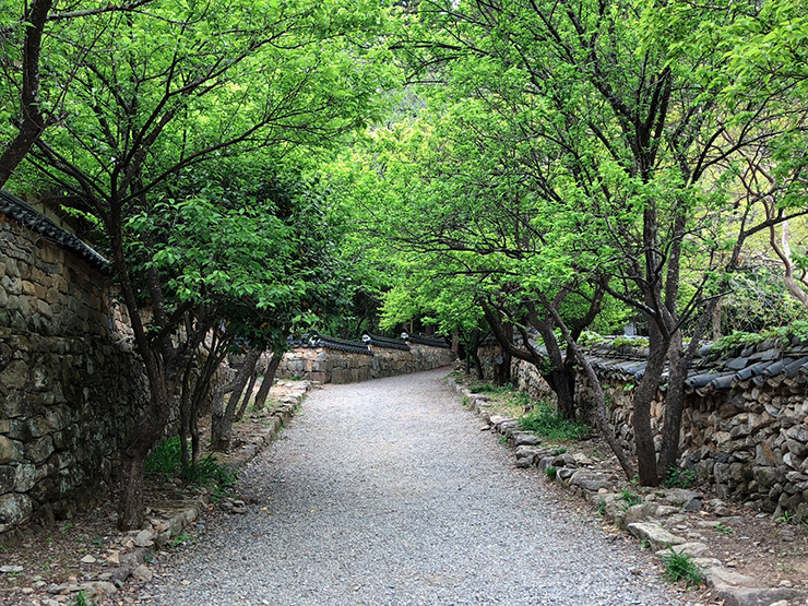 순천-선암사