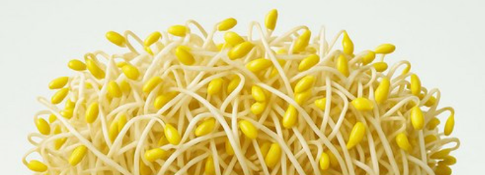 &quot;콩나물의 영양 효능과 섭취 팁&quot;에 대한 이미지입니다.