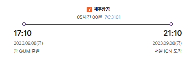 도착 항공권