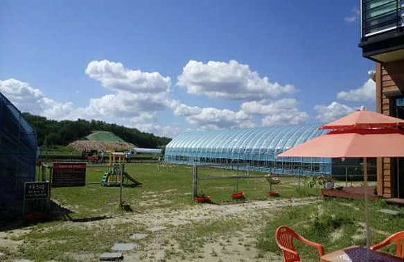 강릉아기동물농장