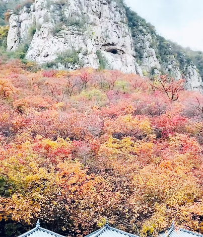 속리산 단풍 절정시기