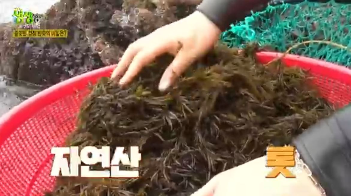 재료준비