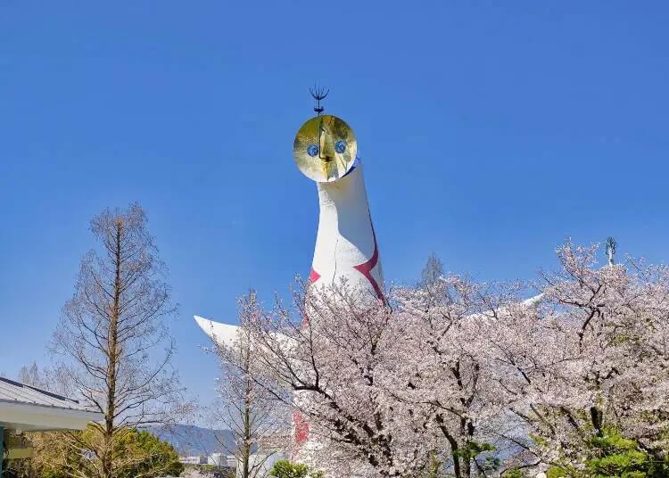 오사카 벚꽃 개화 시기&amp;#44; 축제 및 여행 명소