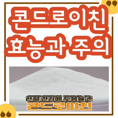 콘드로이친