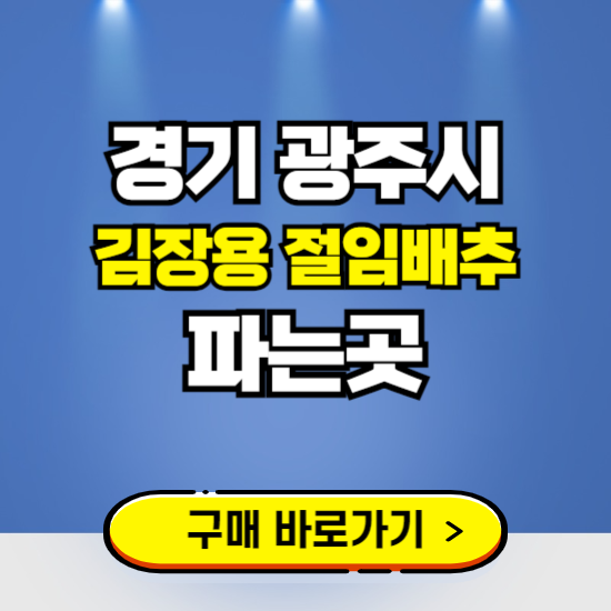 경기 광주시 절임배추 사전예약 구입하는곳 ❘ 김장배추 파는곳 가격보기