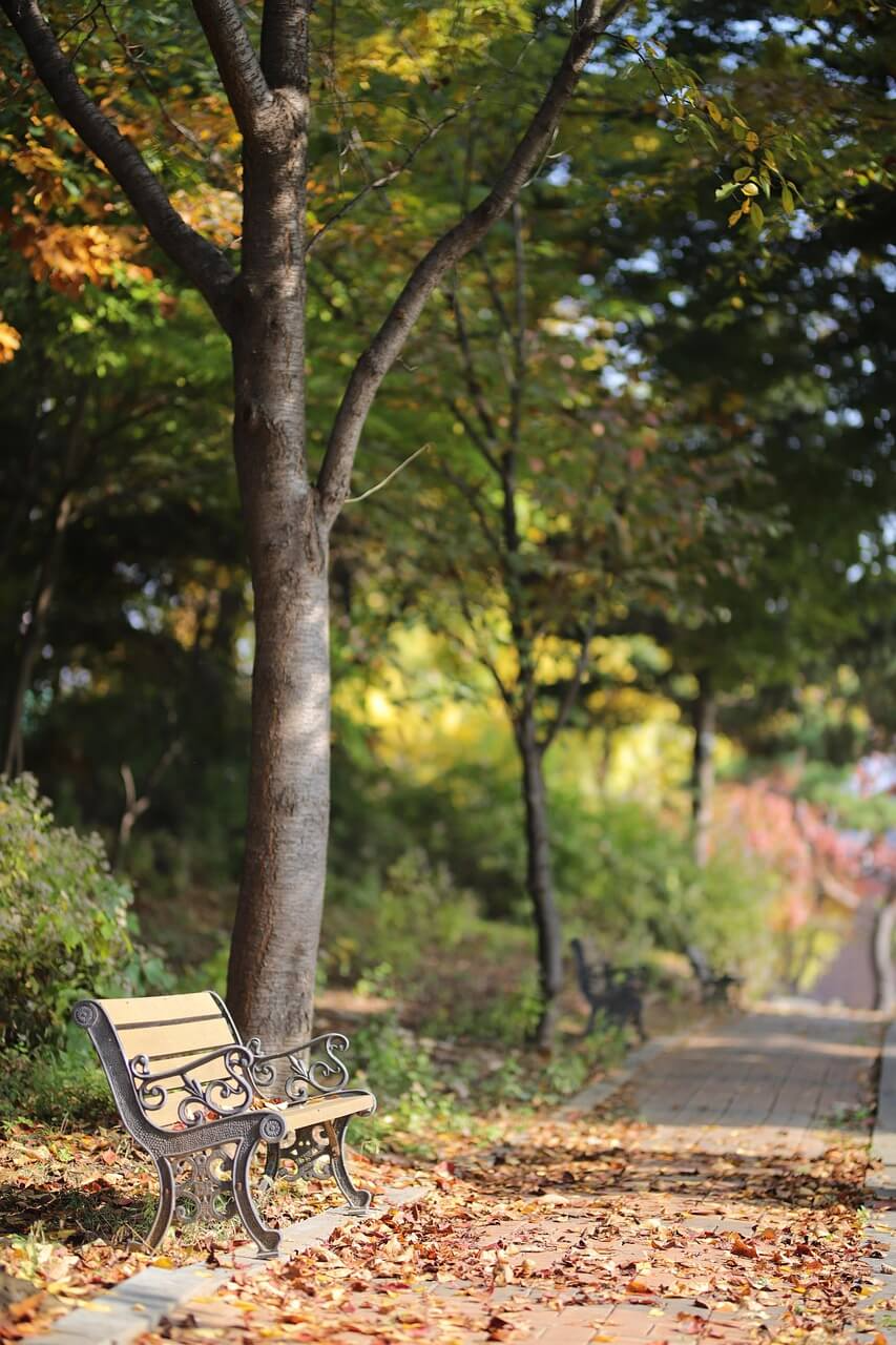 서울 산책코스 걷기 좋은 길 추천! 감성 가득한 산책코스 TOP 5