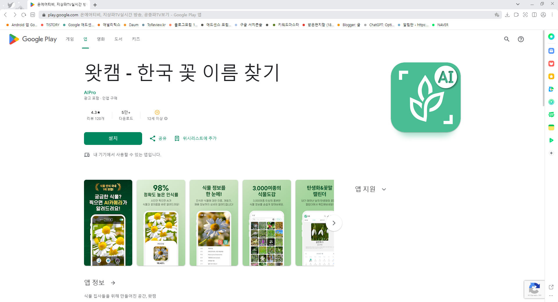 왓캠, 꽃 이름 찾기 어플, 꽃 사진으로 꽃 이름 찾아보기