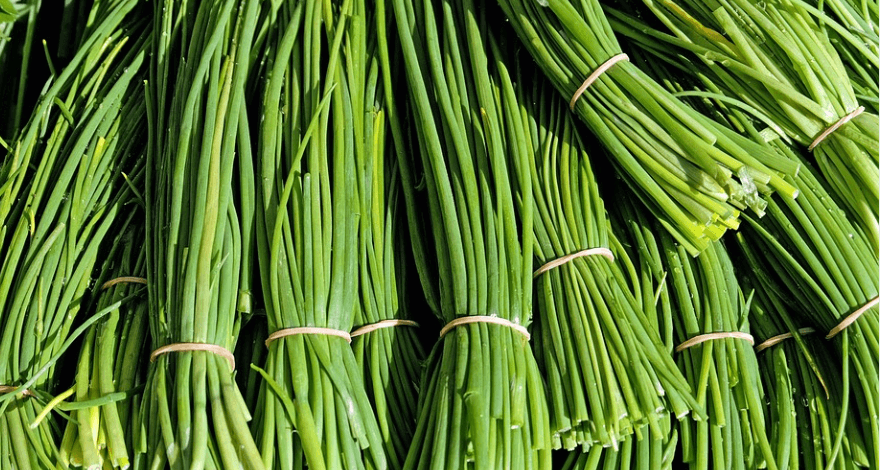 여러 묶음으로 나눠져 있는 부추