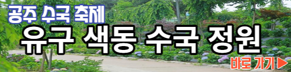공주 수국축제 유구 색동 수국 정원 자세히 보기
