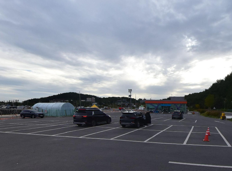 생활의 달인 젓가락 실치 건지기 달인 당진 장고항 실치회 맛집 옥겸이네