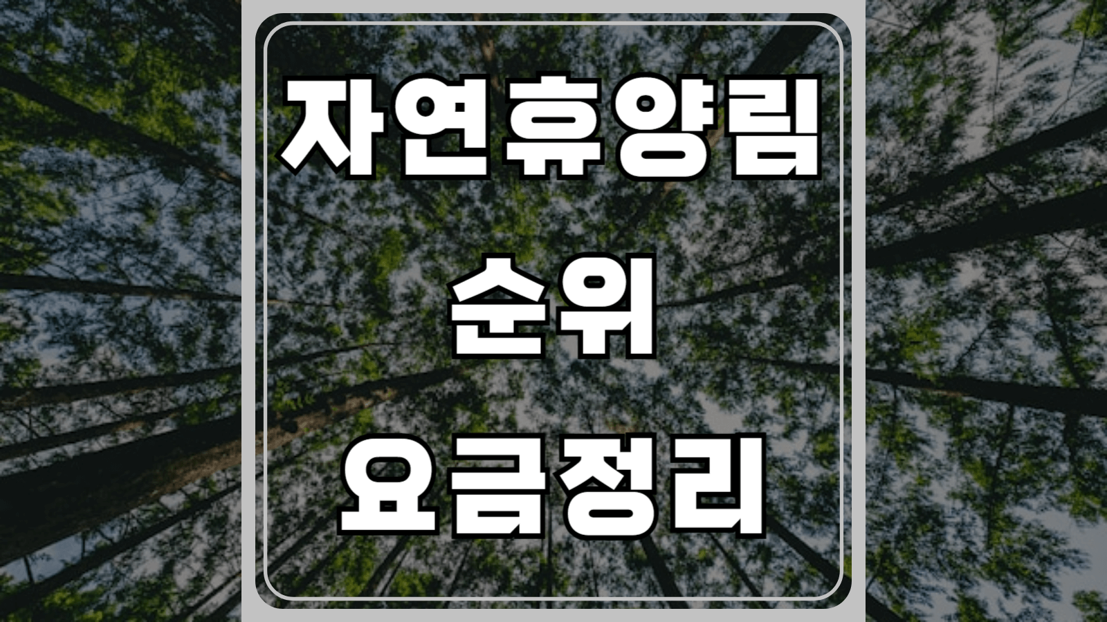 자연휴양림 순위와 요금정리