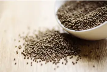 들깨 가격 및 효능&amp;#44; 영양소와 먹는 방법