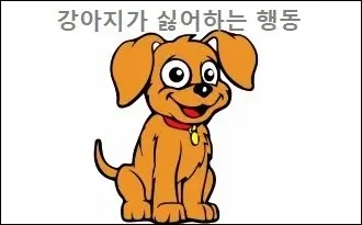 강아지가 싫어하는 행동