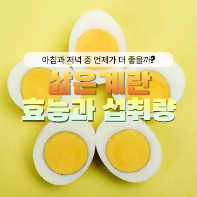 삶은계란먹는시간