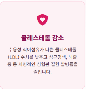 자두 효능
