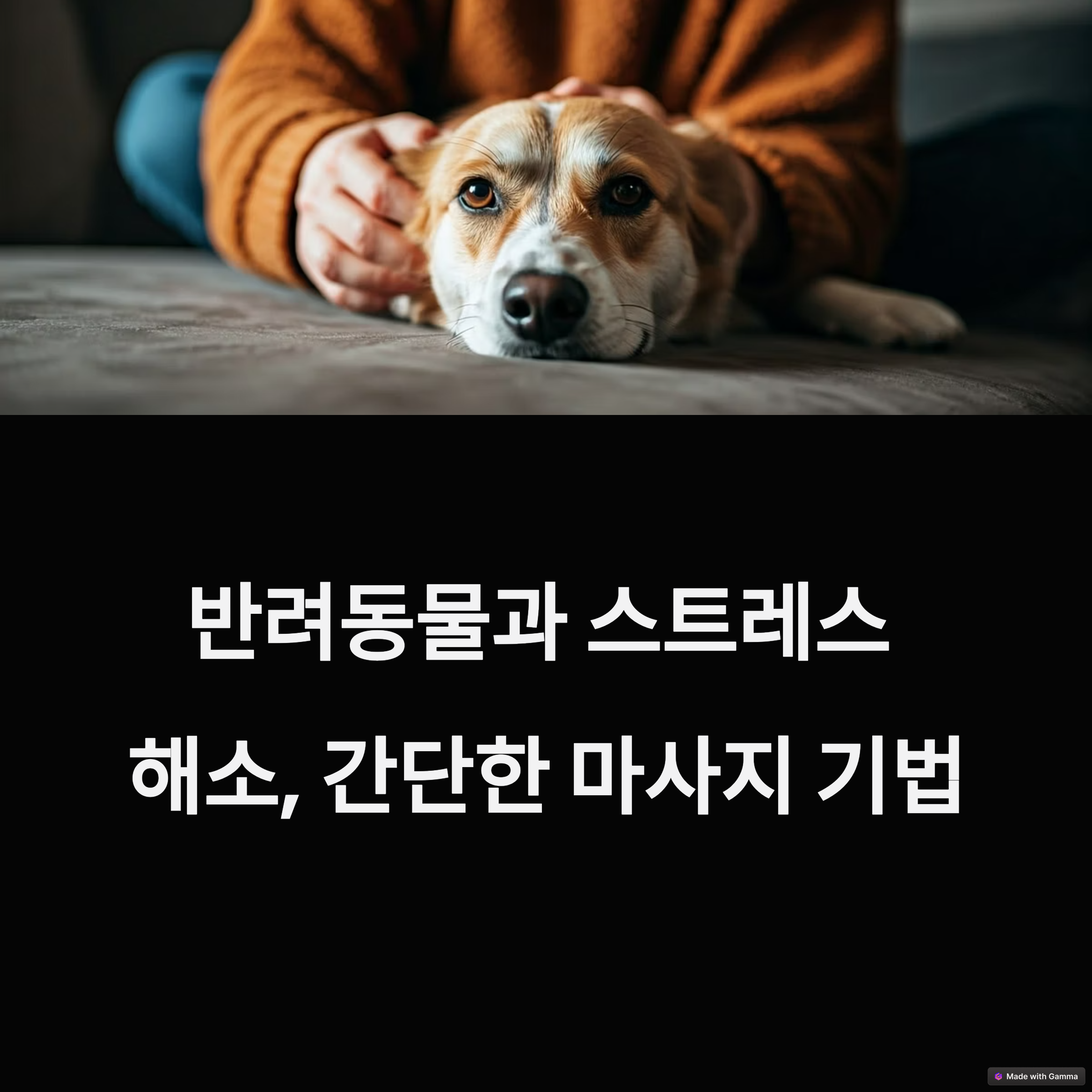 간단한 마사지 기법