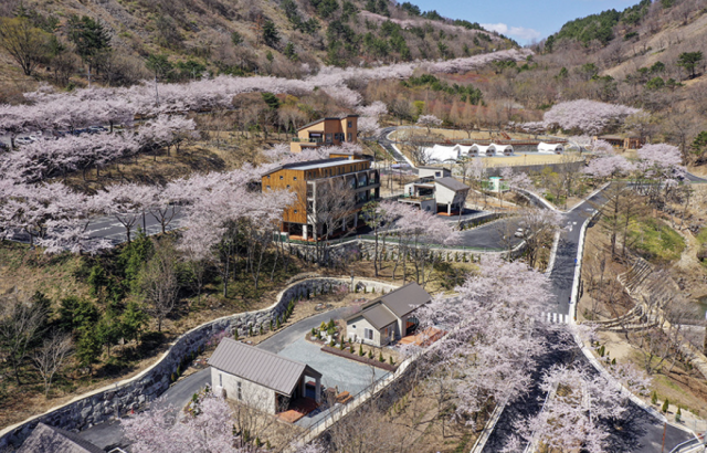 자연휴양림 전경사진