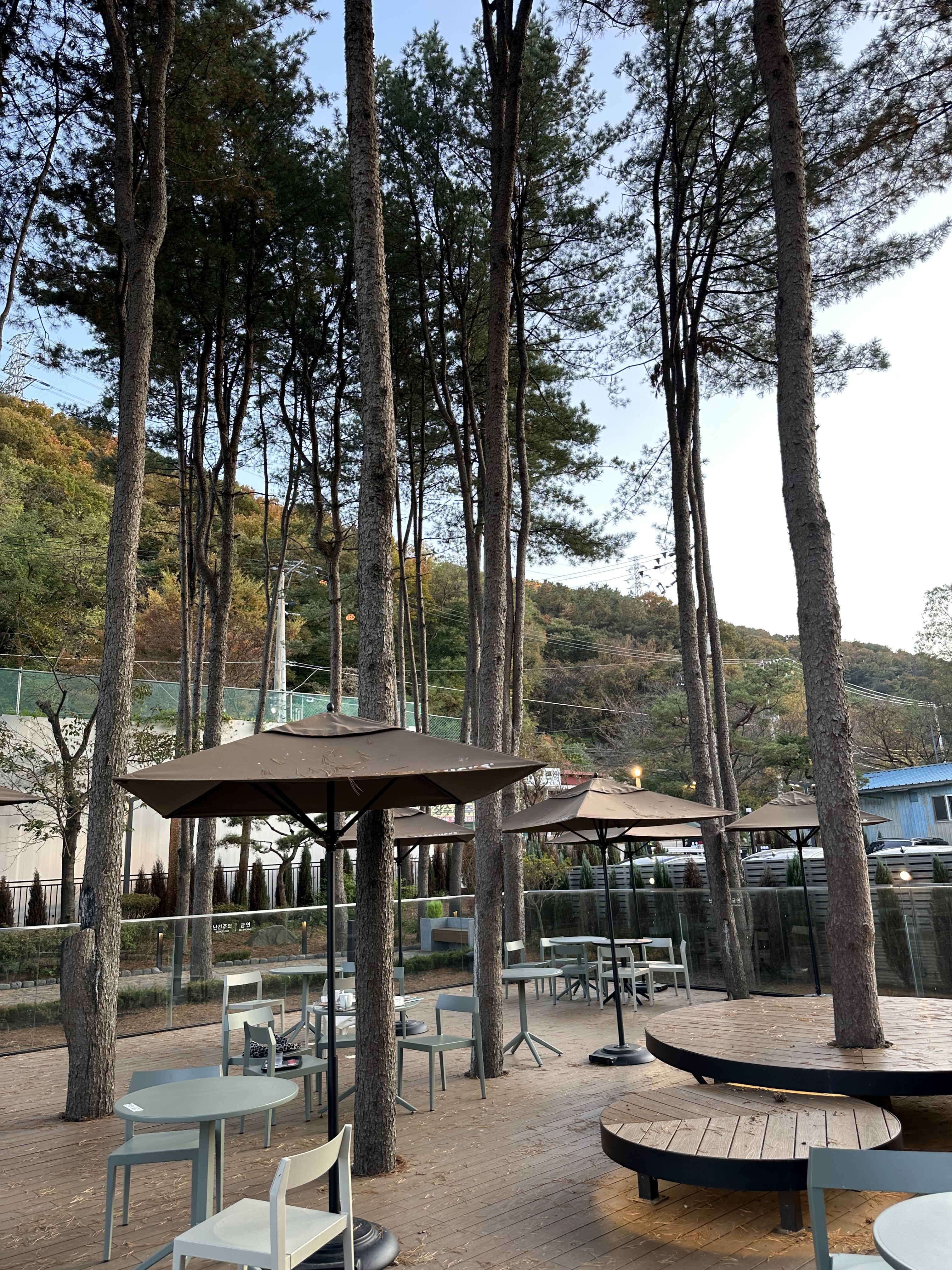 고기리 스타벅스 야외1 