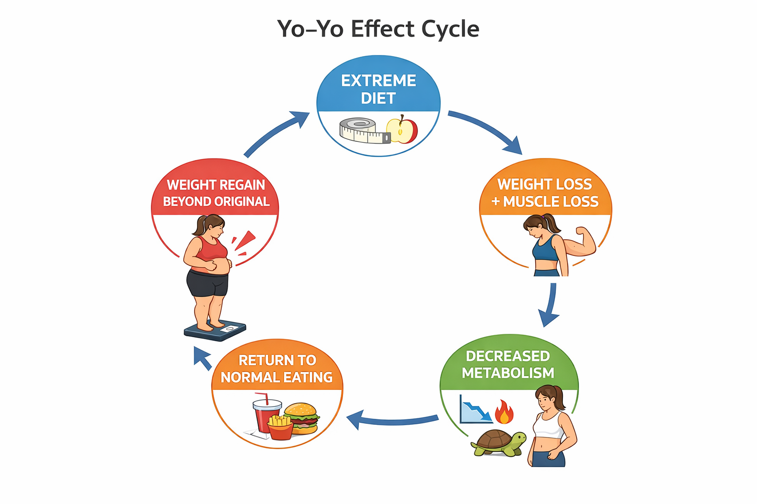 요요현상 원리 - 기초대사량 감소와 체중 반등